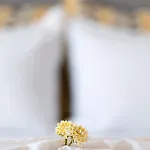 Sk Suites Thassos * Skala Potamia (Thasos)