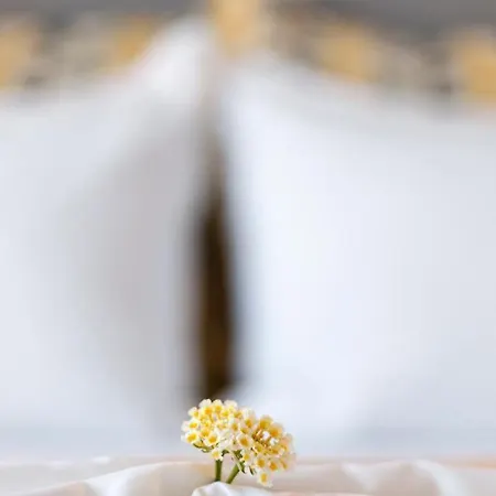 Sk Suites Thassos * Skala Potamia (Thasos)