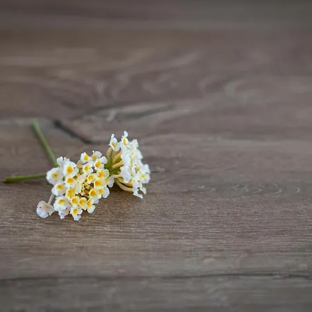 Sk Thassos Lejlighed Skala Potamia (Thasos)