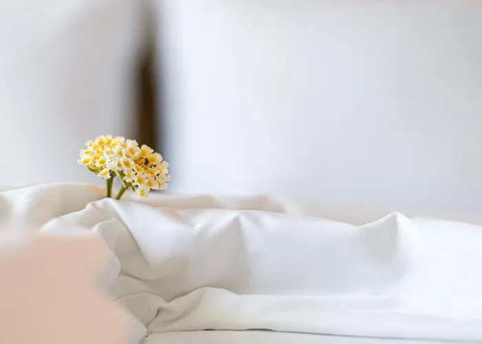 Apartament Sk Thassos *